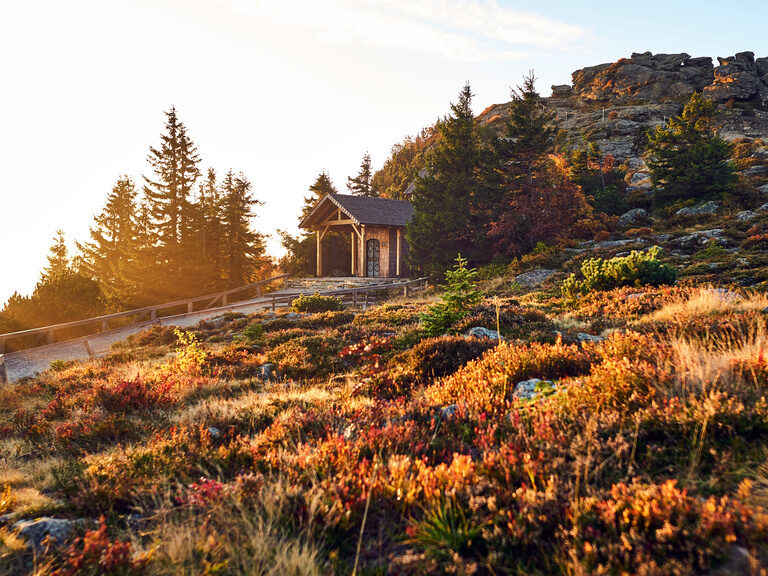 Eine Bayerwald Berglandschaft wird von Sonnenstrahlen getroffen und erleuchtet.
