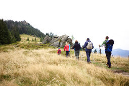 Eine Gruppe von Menschen beim Wandern auf einem Hügel in der Wildnis des Bayerischen Waldes.