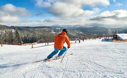 Ein Skifahrer in Bodenmais fährt eine Skipiste runter mit Bayerwald im Hintergrund.