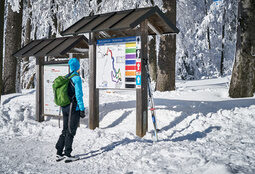 Die verschneite Landschaft lädt zum Winterwandern im Bayerischen Wald ein.